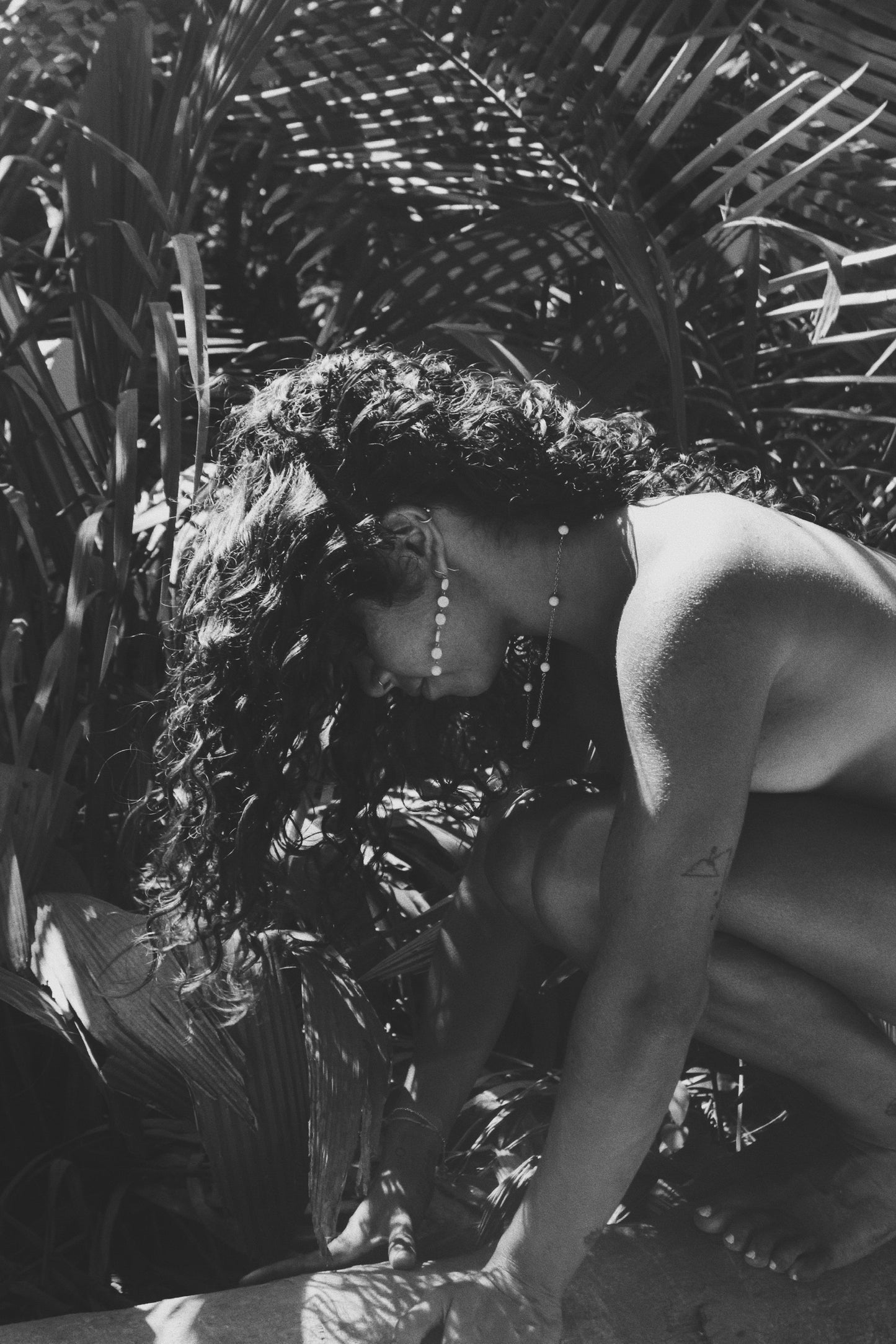 Stella xx | Porcelain